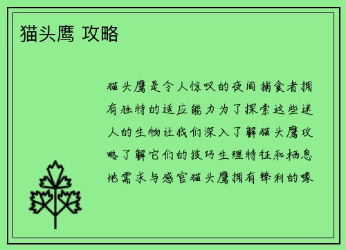 猫头鹰 攻略